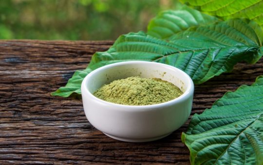 This 2022, Which Kratom Strain Might Benefit You The Most?